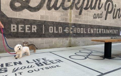 8 Pet-friendly Heated Patios in Nashville, TN - Luv the Paw