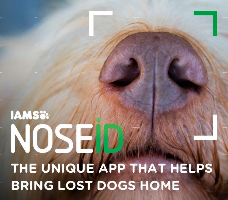 New App Helps Reunite Lost Pets with Owners - Luv the Paw