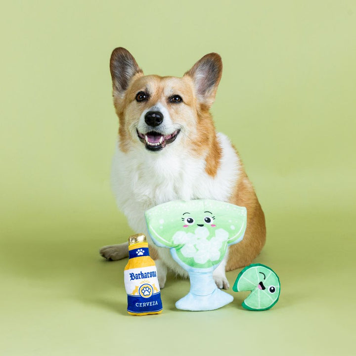 Drop Me A Lime Hide And Seek Dog Toy