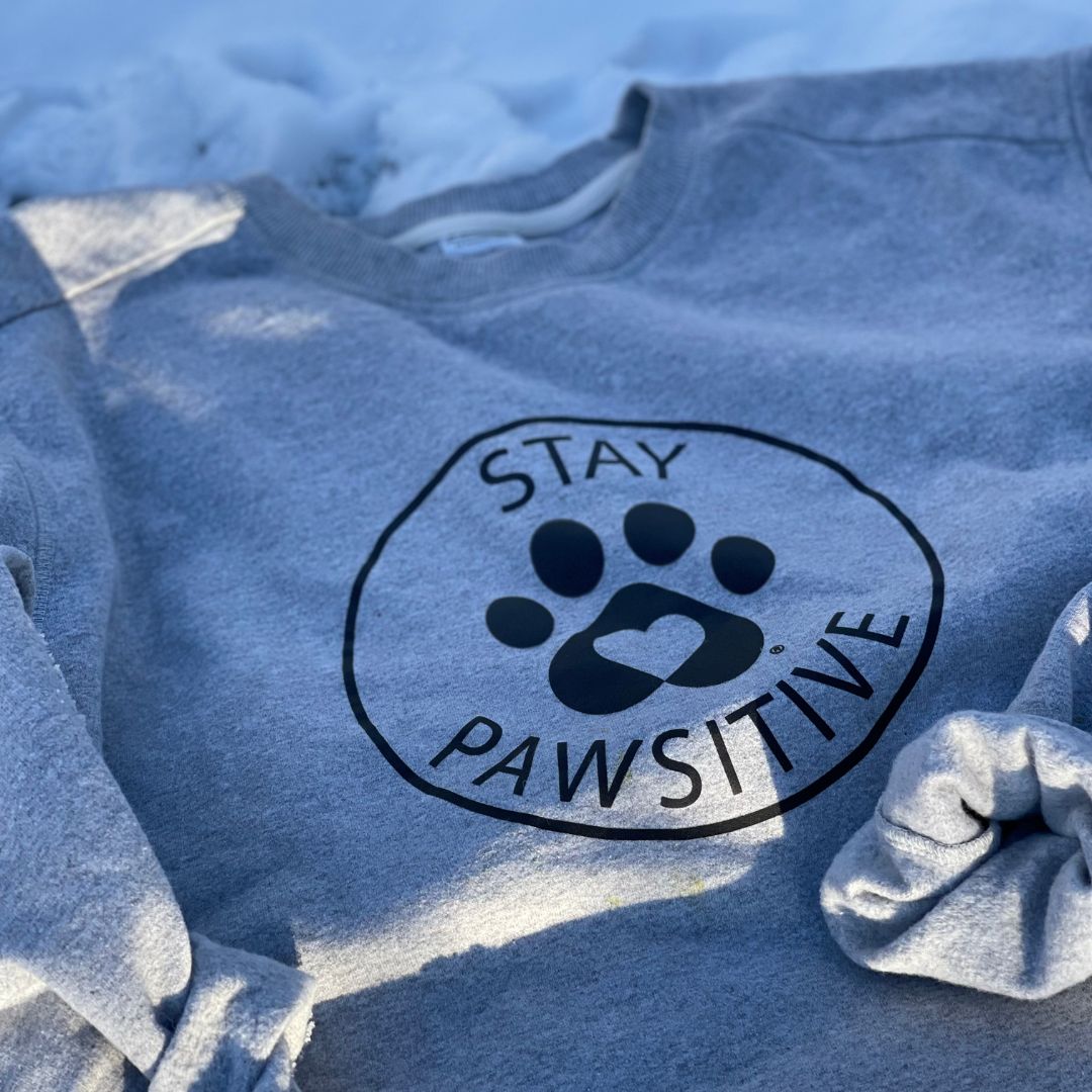 Stay Pawsitive | Sweatshirt