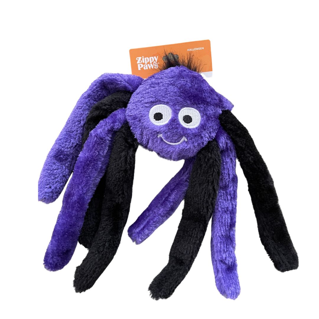 Halloween Spider - Small Plush Dog Toy